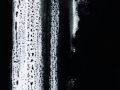 Frammento4